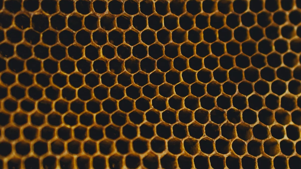 High-resolution close-up of a honeycomb, showcasing its intricate hexagonal pattern.